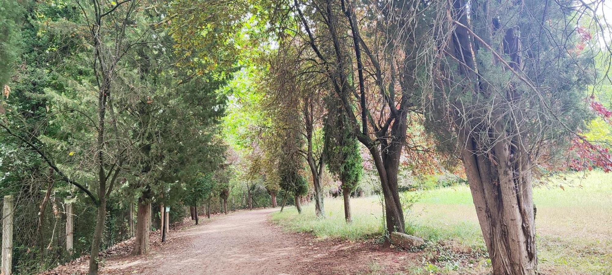 דירות Aviá Piso Rural Sol Bergueda מראה חיצוני תמונה